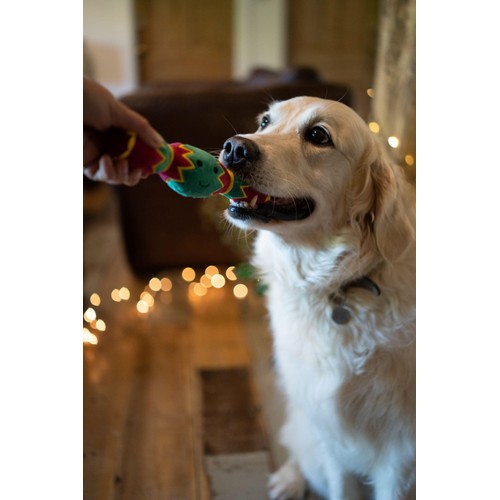 Petface Carys Cracker Plush Christmas Dog Toy