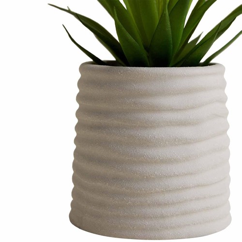 M&S Artificial Mini Air Plant in Ceramic Pot, Natural