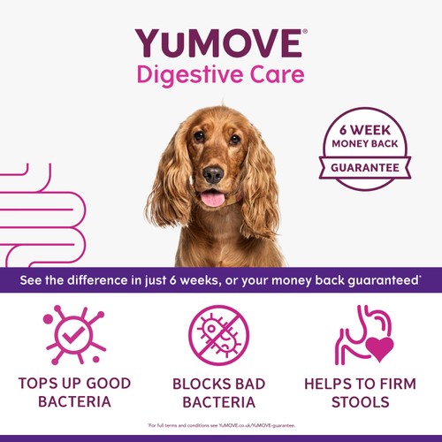 YuMOVE Digestive Support Pre & Probiotic for Dogs