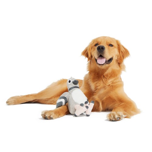Bark Flappin' Flossie Dog Toy