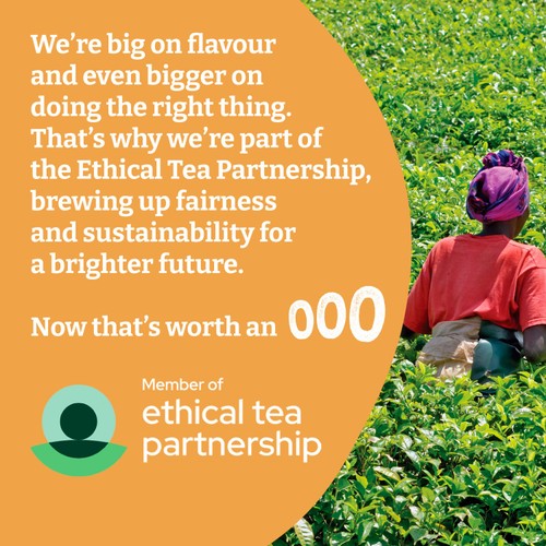 Typhoo Gold Tea Bags