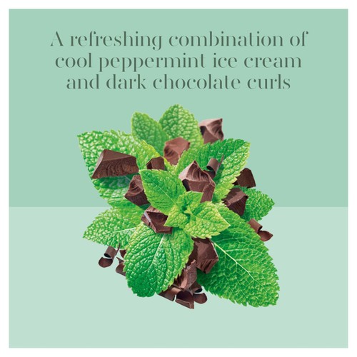 Carte D'Or Refreshing Mint Choc Chip Ice Cream Tub