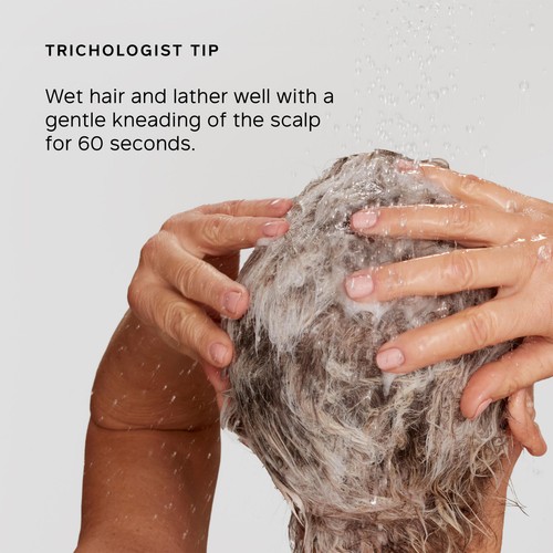 Philip Kingsley Pure Blonde/Silver Daily Shampoo