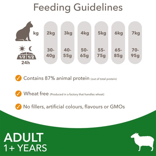 IAMS Advanced Nutrition Adult Cat  Food With Lamb