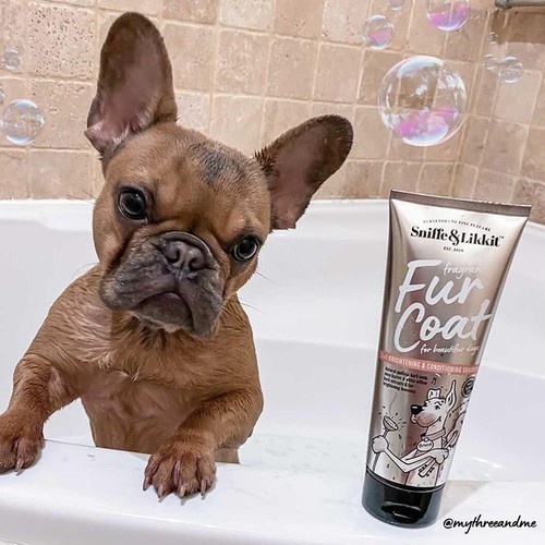 Sniffe & Likkit Fur Coat 3-in-1 Brightening & Conditioning Dog Shampoo