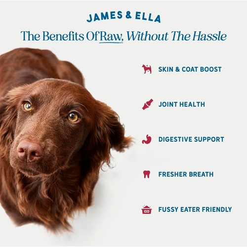 James & Ella Freeze Dried Raw Beef Dog Topper