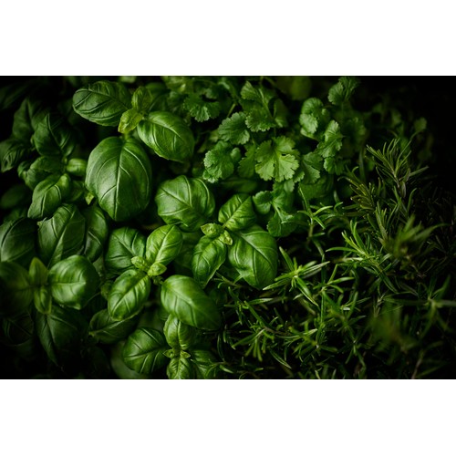 Cook With M&S Coriander