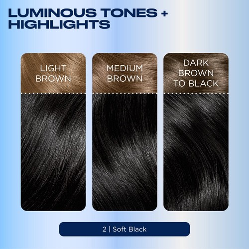 Clairol Nice'n Easy Hair Dye, 2 Black