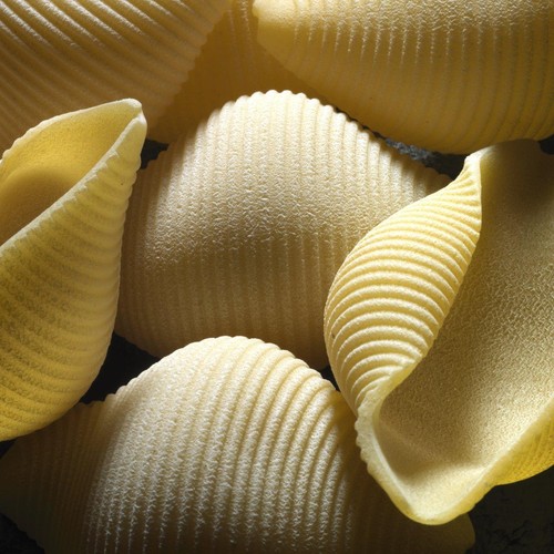 Cocco Conchiglioni Durum Wheat Pasta