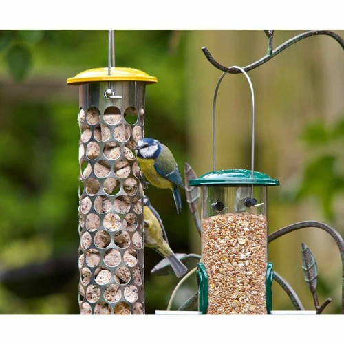 Peckish Extra Goodness Suet Nuggets For Wild Birds
