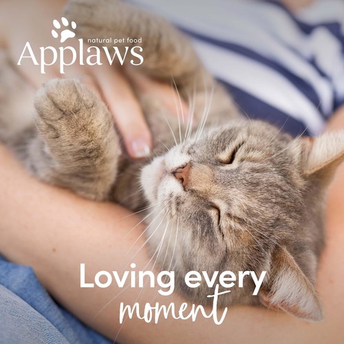 Applaws Natural Wet Cat Treat Tuna Loin with Fish Sauce 30g