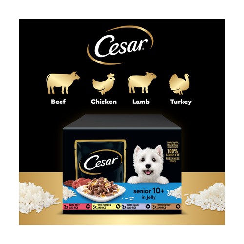 Cesar Senior Wet Dog Food Pouches Mixed Selection in Jelly 