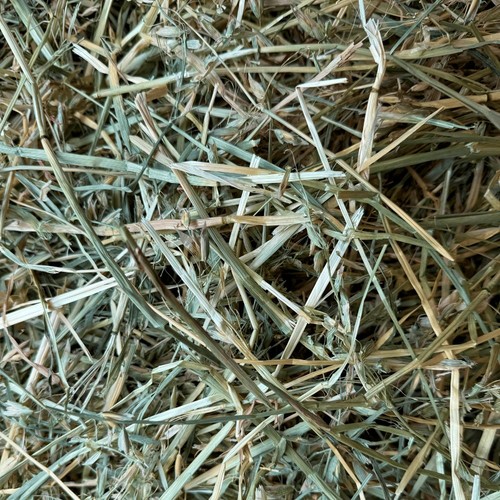 HayDay Outstanding Oat Hay
