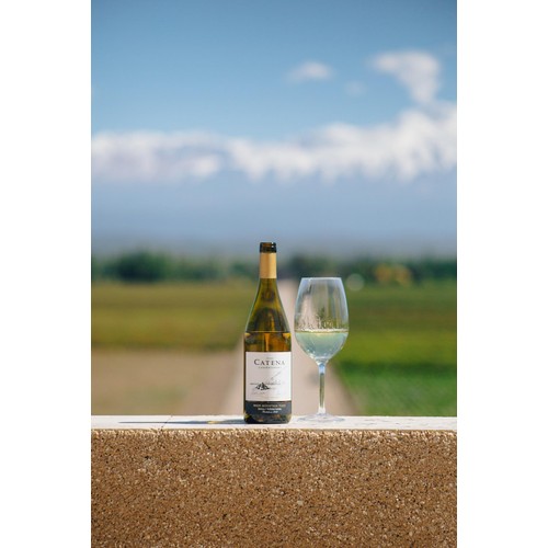 Catena Chardonnay