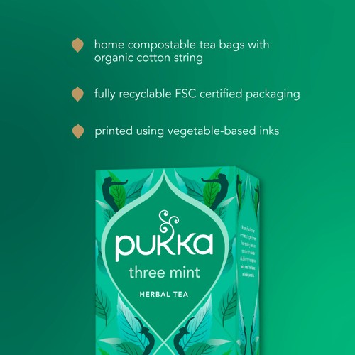 Pukka Organic Digest Collection Herbal Tea with Mint & Ginger