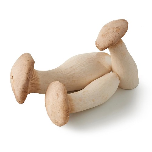 Natoora British Organic King Oyster Mushrooms