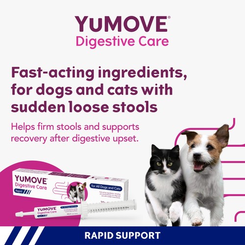 YuMOVE Digestive Support Rapid Paste for Cats & Dogs