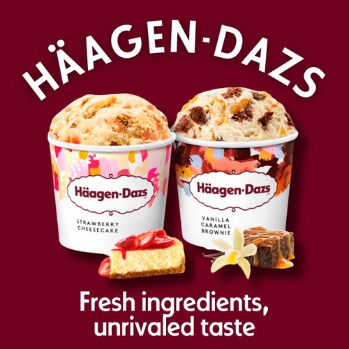Haagen-Dazs Dessert Collection Mini Cups Ice Cream