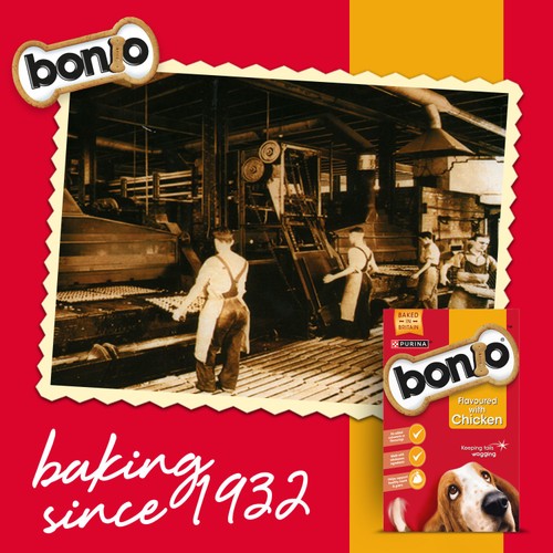 Bonio Chicken Dog Biscuits