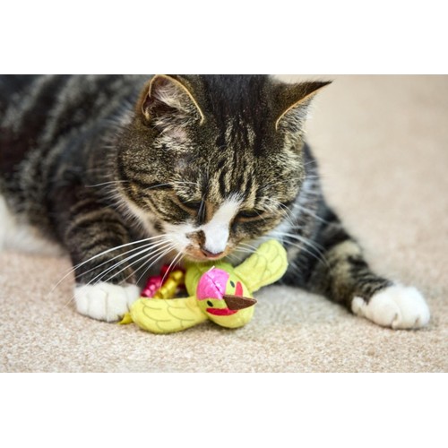 Petface Planet Harper Hummingbird Dog Toy Ocado