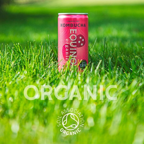 Equinox Organic Raspberry & Elderflower Kombucha