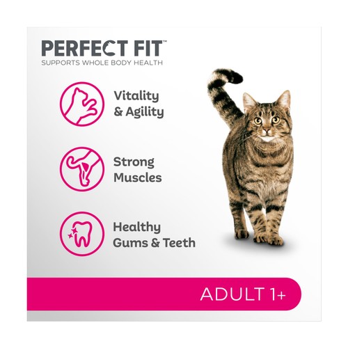 Perfect Fit Cat Dry Adult 1+ Salmon