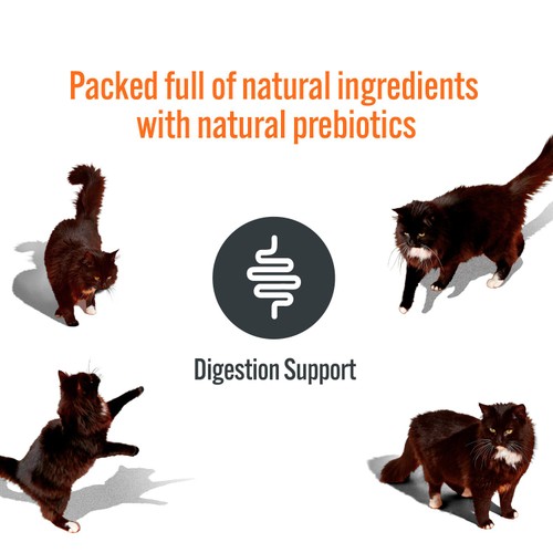 HiLife Functional Cat Licks Digestive Support