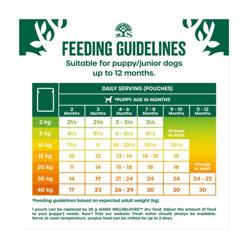 James Wellbeloved Puppy Wet Dog Food Turkey in Gravy Pouch 12 x 90g