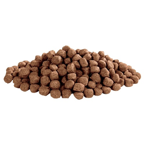 Wagg Complete Senior Dry Dog Food