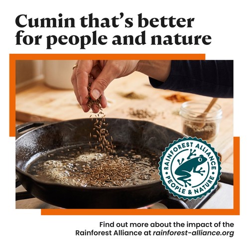 Bart Ground Cumin