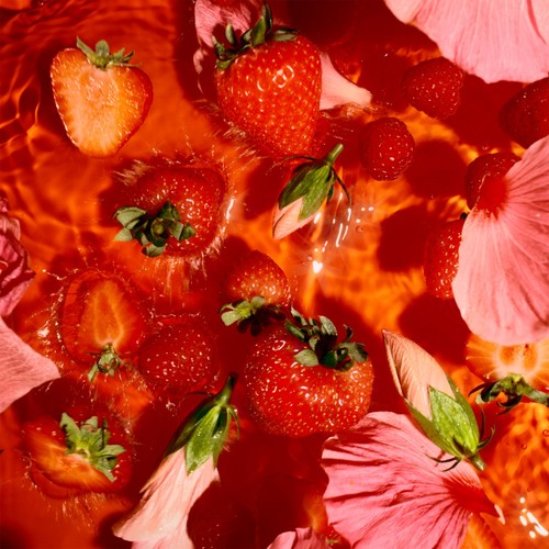 Lipton Fruit Tea Berry Bliss Tea Bags