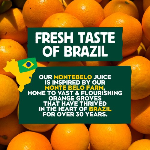 Montebelo Orange Juice With Bits
