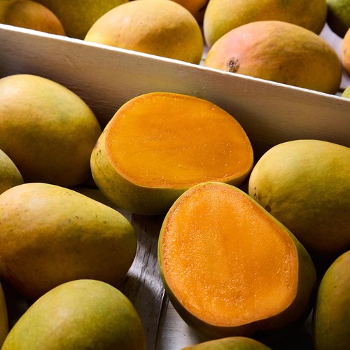 Natoora Sweet Indian Alphonso Mango