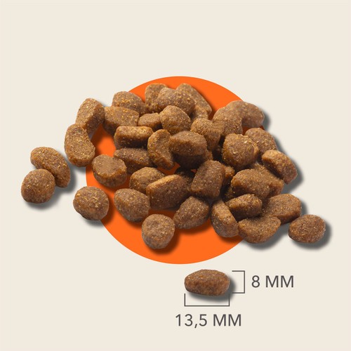 IAMS Sensitive Digestion Dry Dog Food Turkey