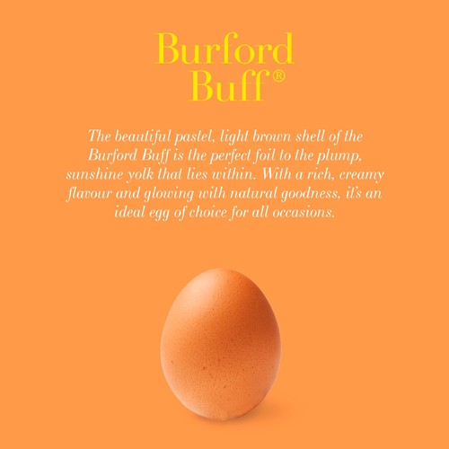 Clarence Court Burford Buff 10 Medium Free Range Eggs
