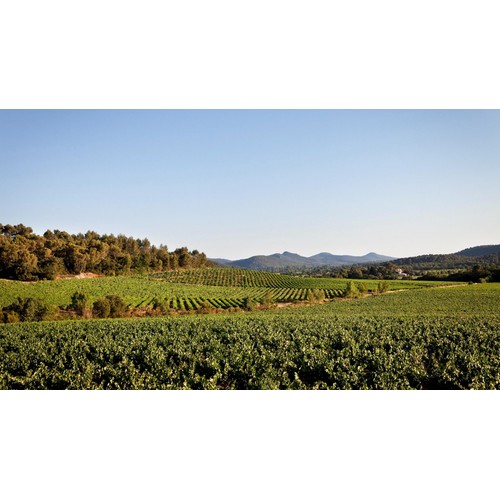 Chateau La Gordonne Organic Provence Rose