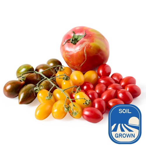 Natoora Seasonal Tomato Selection