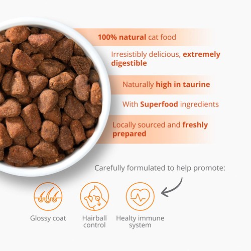 Catit Recipes Dry Adult Poultry