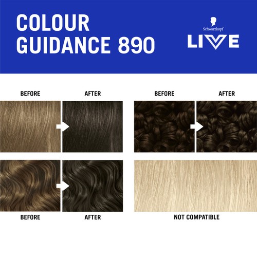 LIVE Intense Colour 890 Espresso Martini