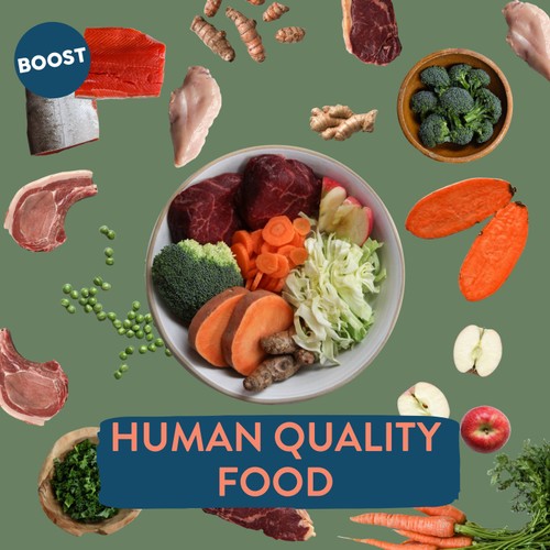 Boost Pet Chicken with Superfoods Meal for Dogs