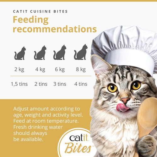 Catit Duet Salmon with Chicken