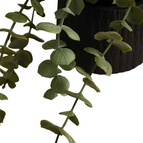 M&S Moss & Sweetpea Artificial Trailing Baby Plant in Ceramic Pot, Black