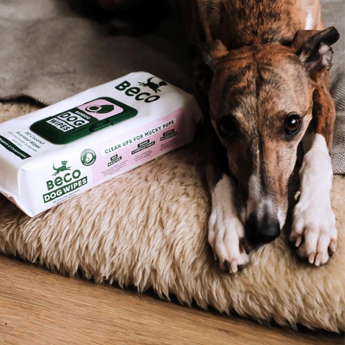 Beco Bamboo Dog Wipes Coconut Scented