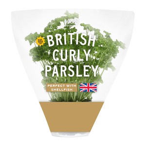 M&S British Curly Parsley Pot
