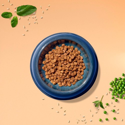 Tails.com Inner Vitality Toy & Small Adult Dog Dry Food Chicken