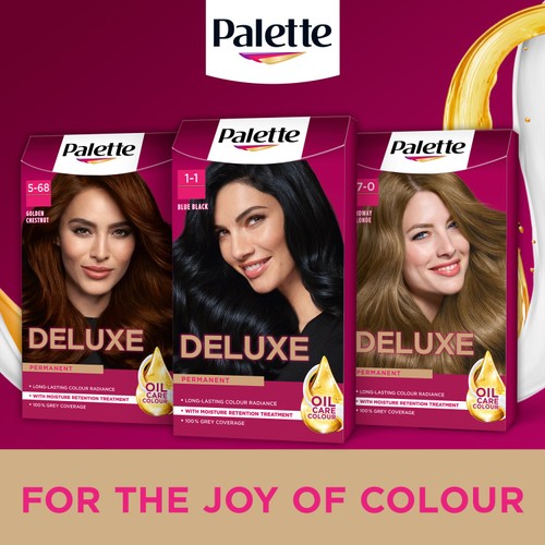Palette DLX 1-1 Blue Black GB