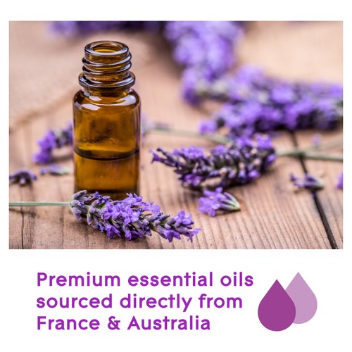 Glade Aromatherapy Reed Diffuser Moment of Zen