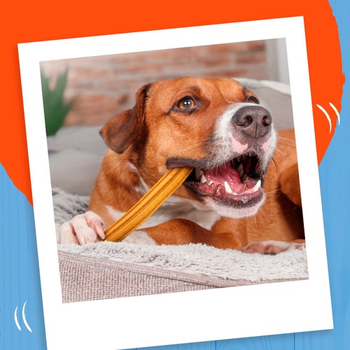 Bakers Dental Delicious Large Chicken Dog Chews