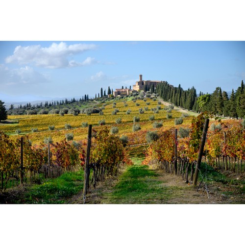 Banfi Rosso di Montalcino