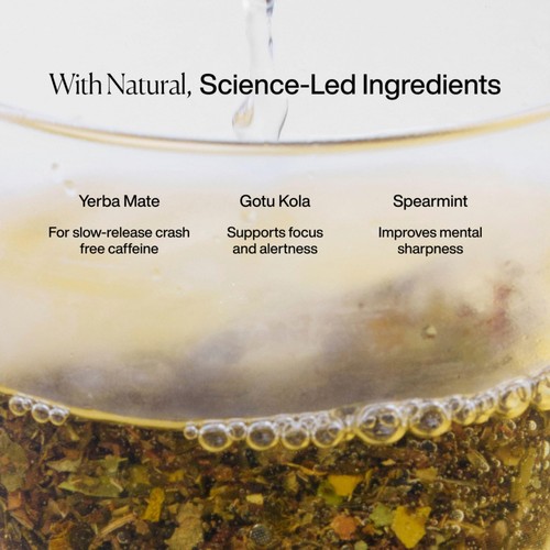 MISSION Perform Yerba Mate Tea Bags with Lemongrass + Mint